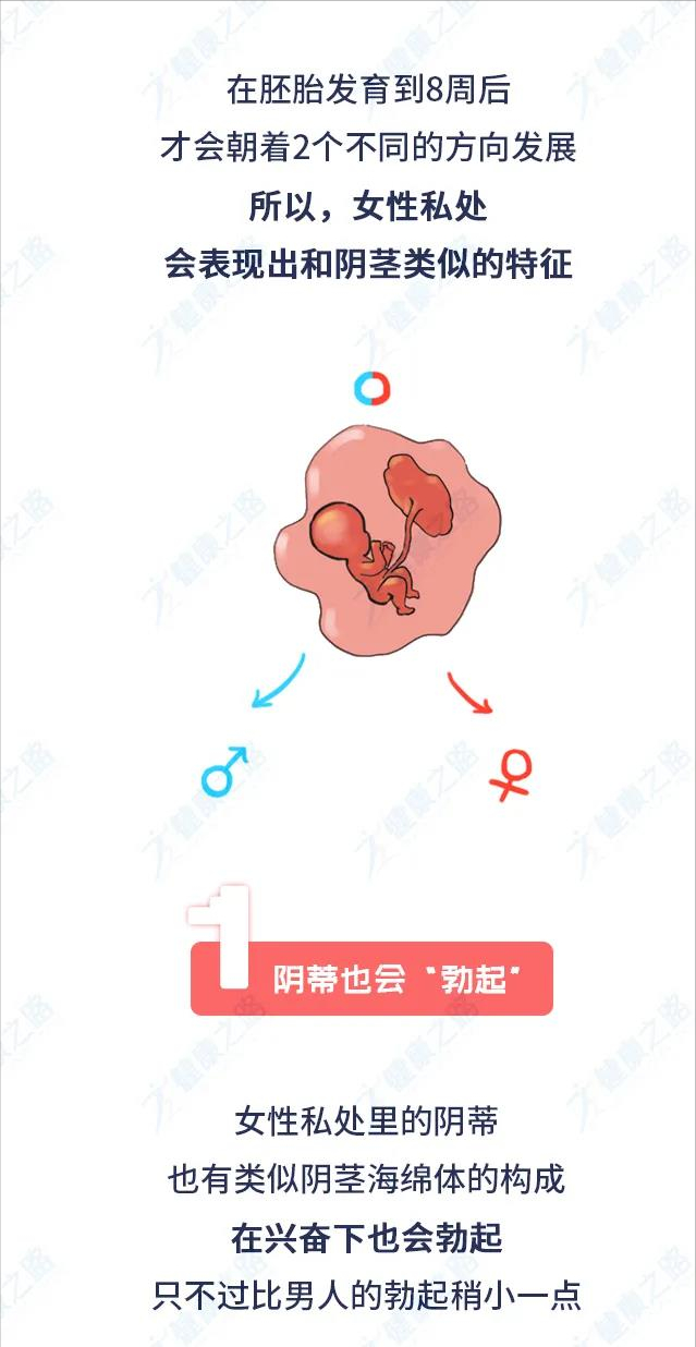 女人会长3个乳房？乳头周围会长毛？女人身体的6个小秘密必知