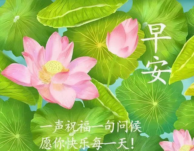 免打字春日清晨美女问候祝福图片带字，早安问声好，万事都美好