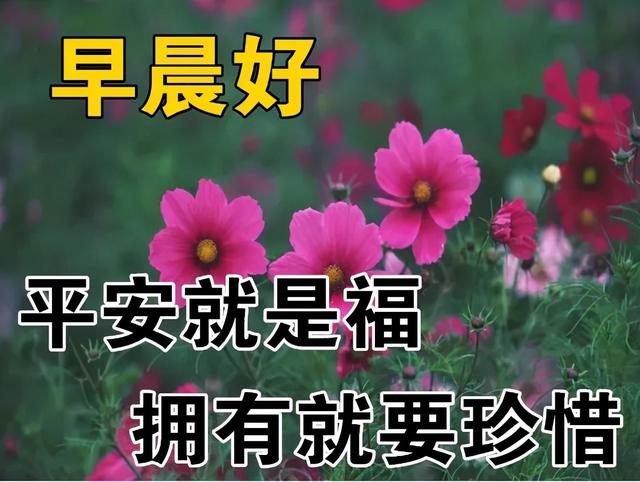 免打字春日清晨美女问候祝福图片带字，早安问声好，万事都美好