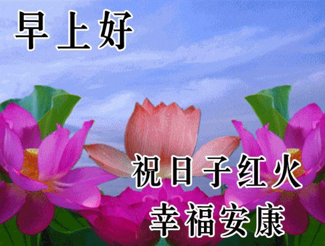 免打字春日清晨美女问候祝福图片带字，早安问声好，万事都美好