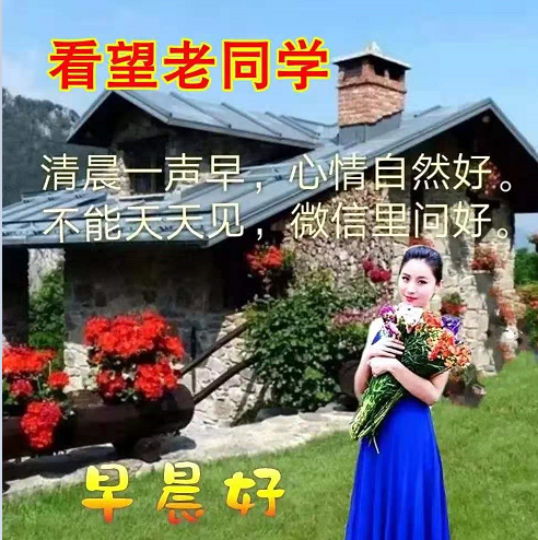 免打字春日清晨美女问候祝福图片带字，早安问声好，万事都美好