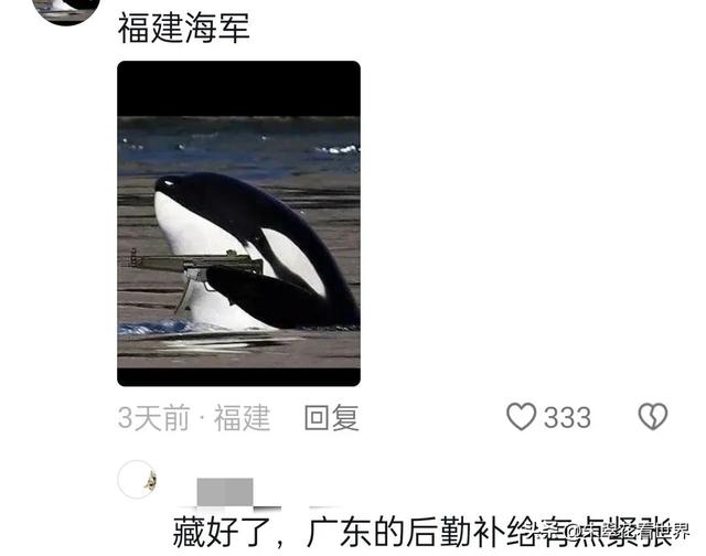 笑晕！当兔子变成熊猫军团 你知道意味着什么吗？川渝婆娘申请出战