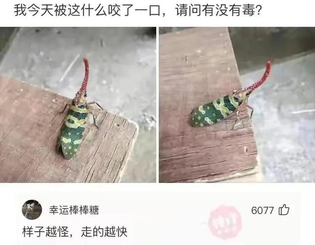 丝袜+男人可以征服什么？