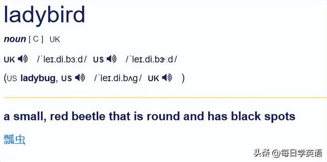 lady是“女士”，bird是“鸟”，那ladybird是什么意思？