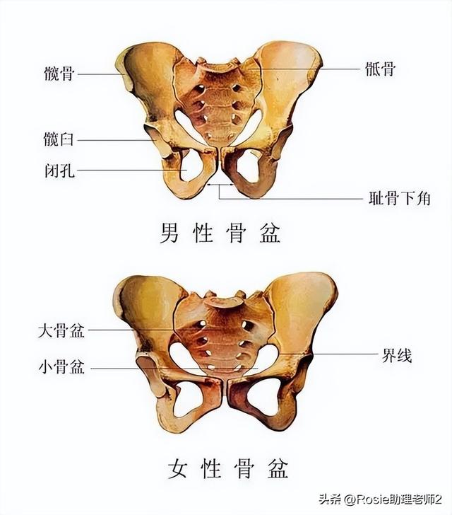 孙俪练瑜伽全身暴汗，腿粗臀肥的梨形身材如何瘦？做好这3步