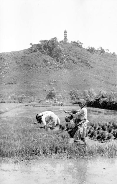 一组1930年代的农村老照片，光屁股男孩和笑容灿烂的年轻农妇