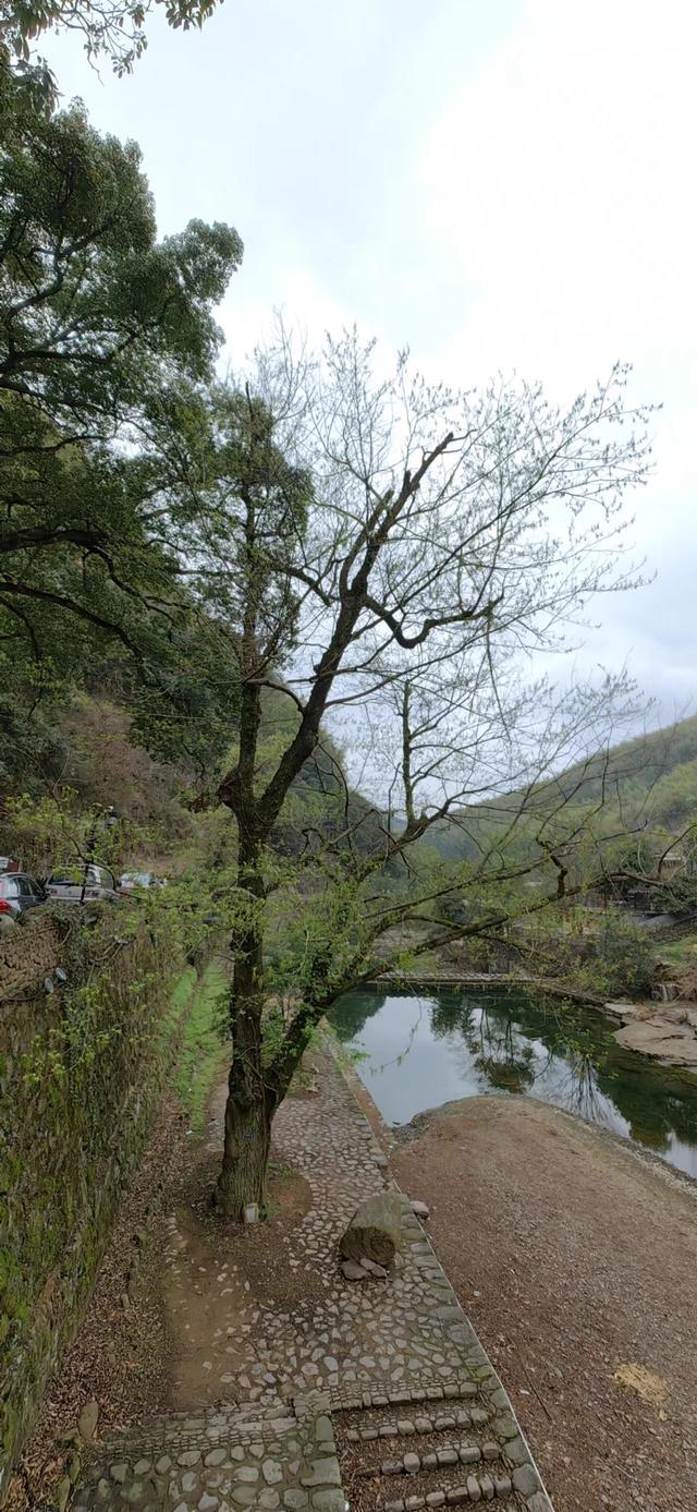 马岭古道茆坪至石舍精华段徒步，再看美女峰神秀