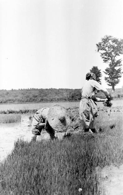 一组1930年代的农村老照片，光屁股男孩和笑容灿烂的年轻农妇