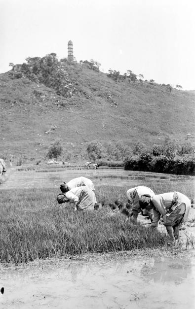 一组1930年代的农村老照片，光屁股男孩和笑容灿烂的年轻农妇