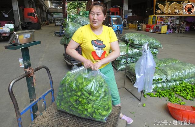 趣闻：三峡物流园蔬菜批发城，美女阿姨包装辣椒，衣装时尚养眼