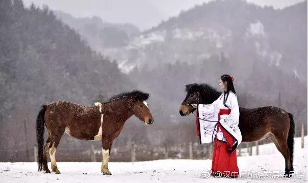 陕西美女身穿汉服骑上宁强矮马行走山间 仿佛穿越而来