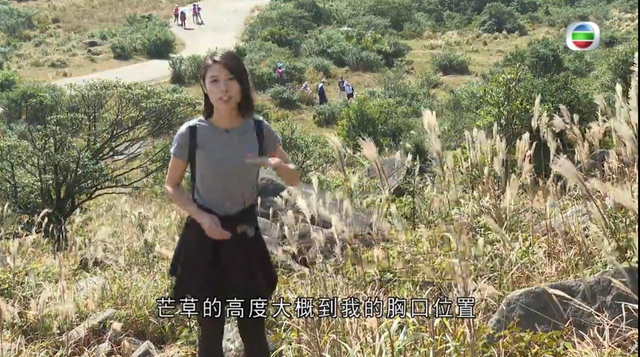 香港科大校花变“九头身”美女主播，私下生活竟然这么神秘！