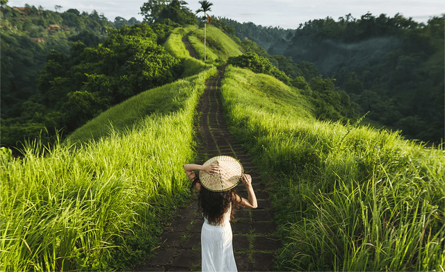 回家上错楼层，开门的是一个年轻美女，阴错阳差发生一段故事