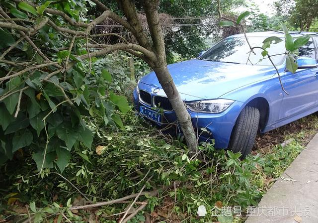 美女司机驾豪车弯道飙车炫技 飘移未果险些滚落崖下