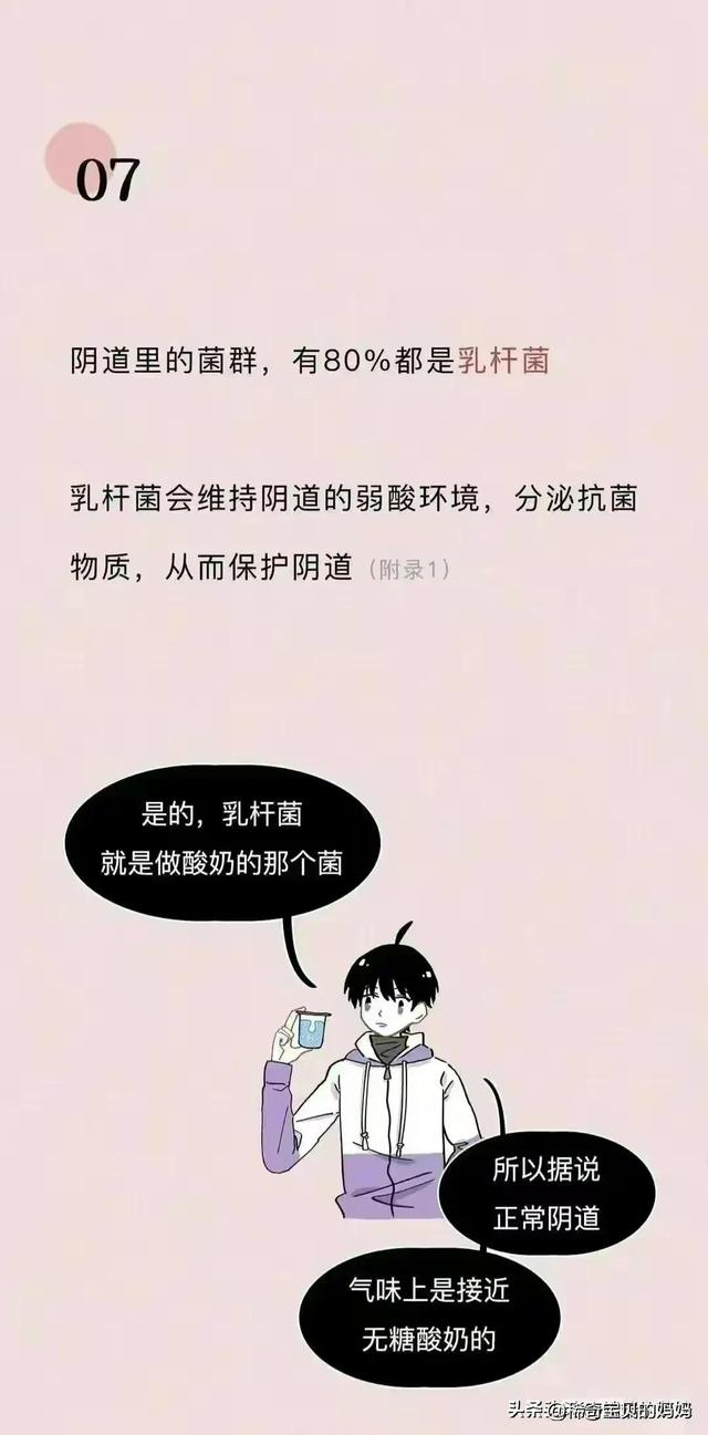 关于阴道，你必须知道的 12 个正经小知识！（漫画）