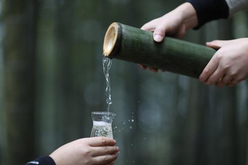 图说│来一杯杨贵妃酿的竹酒尝尝！90后苗族女青年返乡创业用竹酿酒，带动村民“种”出致富路