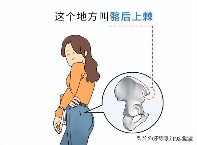 为什么很多女生屁股两侧，会有个小凸起？