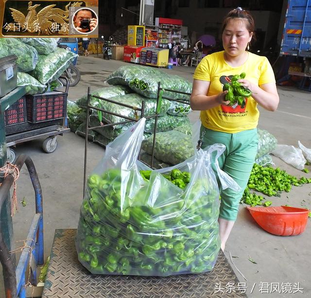 趣闻：三峡物流园蔬菜批发城，美女阿姨包装辣椒，衣装时尚养眼