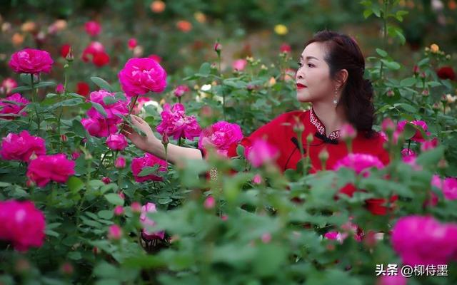 中年姐姐你最美，和花朵一起合影吧，拍照优雅显年轻