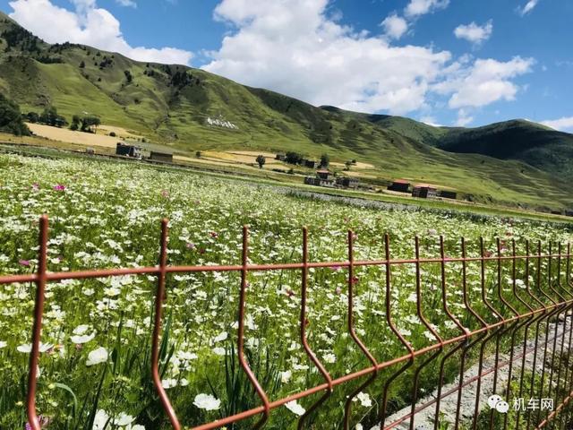 坐着小踏板，妹子完成了1000公里的摩旅~