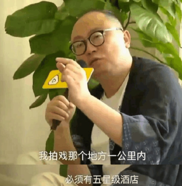 抠图骑人马整部戏用替身的塑料演员，没演技没作品，好日子到头了