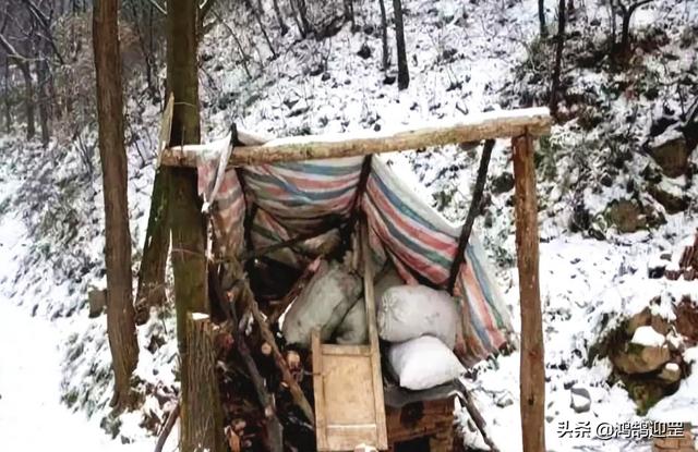 “天下第一女隐士”王芝霞，隐居终南山40多年，曾连续打坐108天