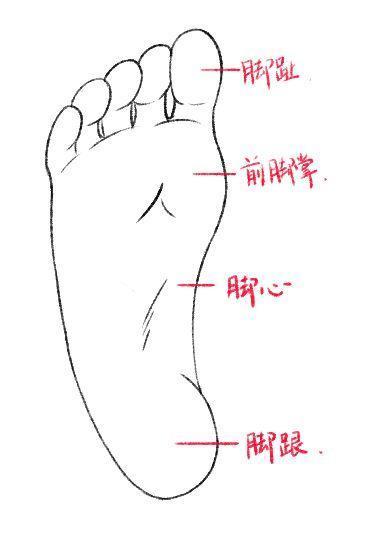 「推荐」绘画初学者脚部怎么画？超级详细的脚部绘画的教程技巧