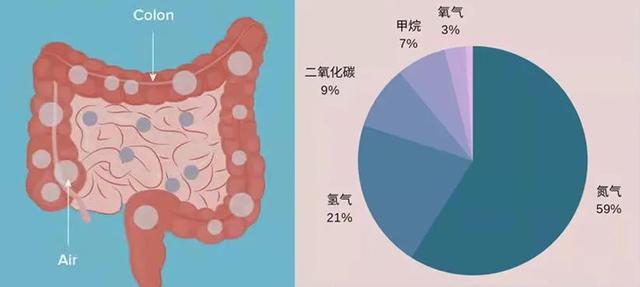 如何优雅地在游泳池里放屁？