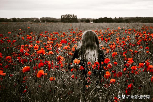 古代文人为何热衷写相思中的女子？一半是欣赏，也有一半是偷看