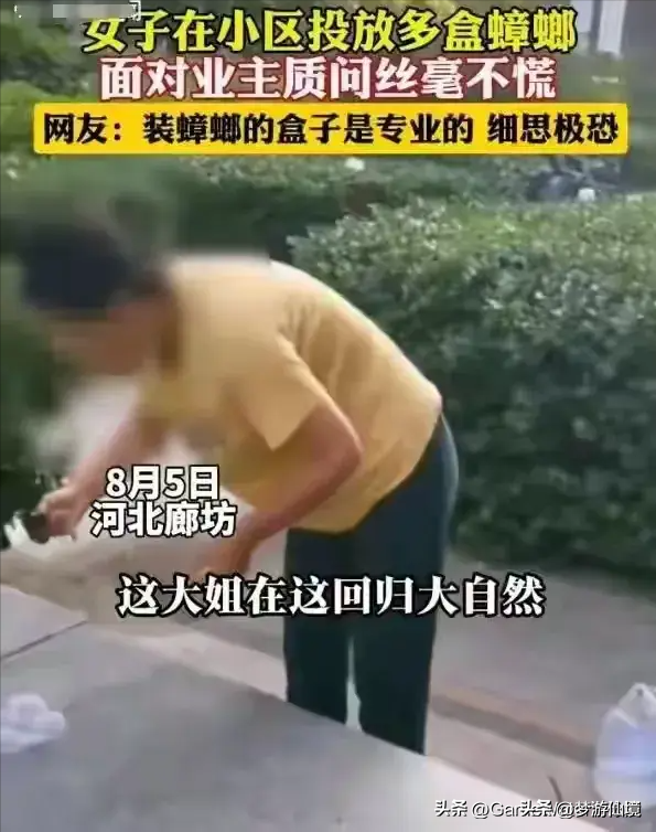 女子在小区内放生蟑螂后续：警方介入，女子阴谋曝光，果然有问题