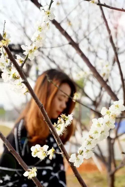 赏花正当时，周末来麻涌领略一场浪漫的花事