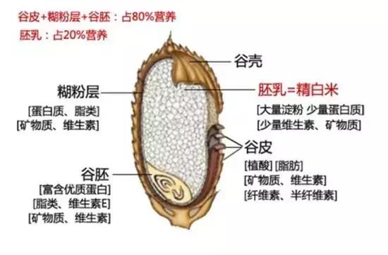 岛国“脚气”蔓延史，美女也是臭脚？