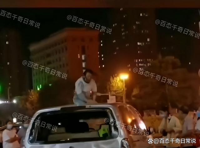 河南一女子跪在车顶，手拿砖头狠狠砸车，崩溃哭喊：我到底错在哪