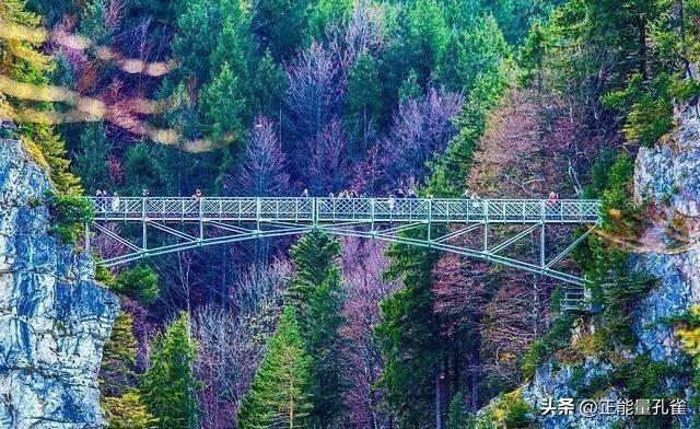 梦幻城堡下的恶魔：华裔美女学霸毕业旅行遭美国陌生男子性侵杀害