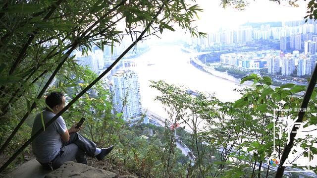 看山城夜景还在往南山一棵树跑？这里的景色简直比它美千万倍