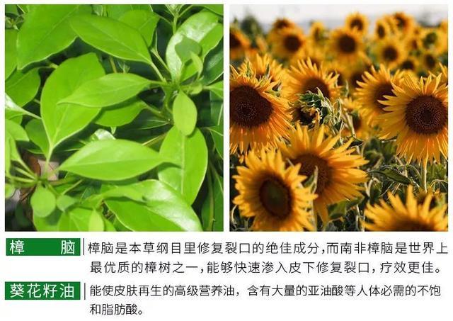 李沁的腿自带“丝袜特效”，双脚细嫩又光滑，修图都没这么夸张