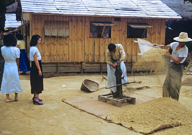 旧西藏老照片：贵族小姐容颜惊人，农奴女孩衣衫破烂，命如草芥