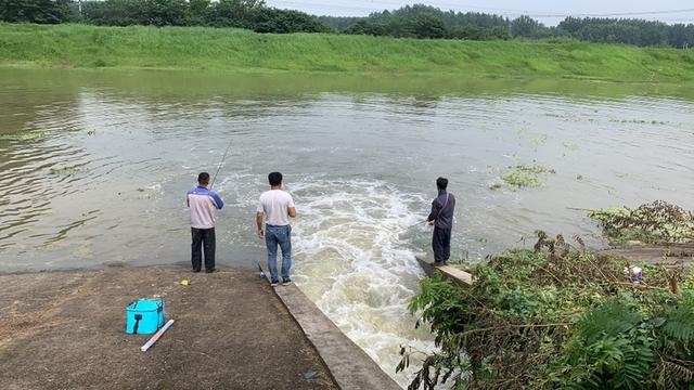 路亚首帖：游钓骆马湖，解锁准米翘