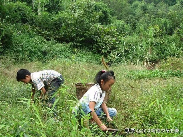 少女竟被大叔带到酒店，美女主动脱去衣服，献身五十岁的老男人!