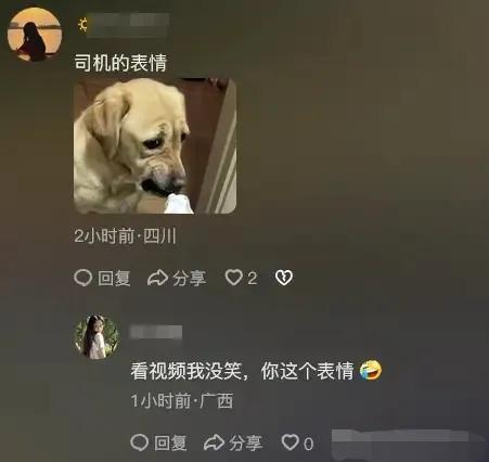 青岛大姐车顶脱衣热舞，网传视频引全网哗然：这是何等的疯狂？