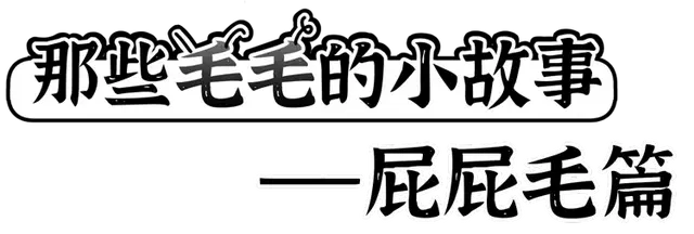 人为什么会长肛毛？屁屁毛能刮掉吗？医生劝你手下留情