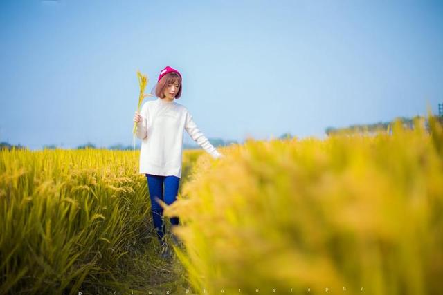 深秋稻田里的小清新女孩