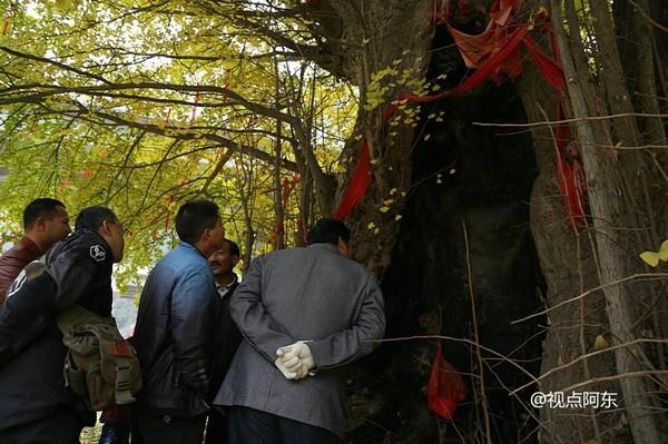 留坝“最美乡村公路”景色迷人 美女劈叉倒立一路撒欢（组图）