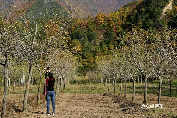 留坝“最美乡村公路”景色迷人 美女劈叉倒立一路撒欢（组图）