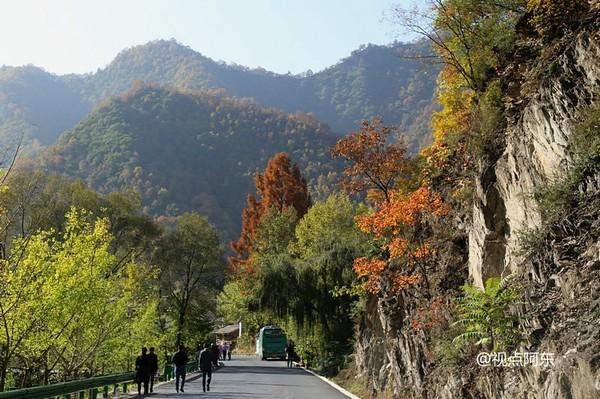 留坝“最美乡村公路”景色迷人 美女劈叉倒立一路撒欢（组图）