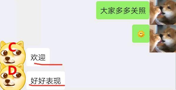 被女神拉进了舔狗群，我这个月余额就剩下了二毛