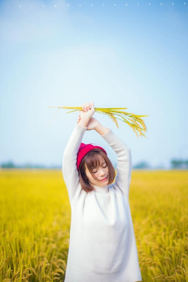 深秋稻田里的小清新女孩